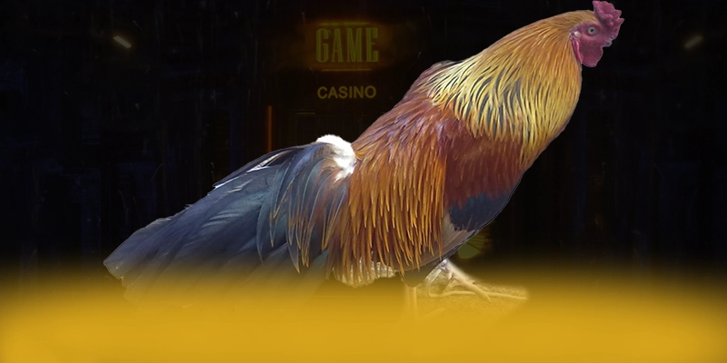 DAGA88 - Nhìn lại toàn bộ ưu điểm từ cộng đồng game thủ. DAGA88 - Nhìn lại toàn bộ ưu điểm từ cộng đồng game thủ.