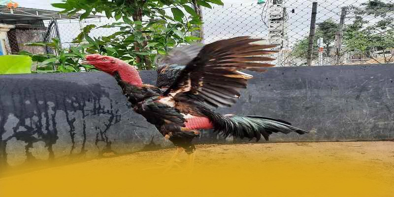 SUNWIN – Sảnh game chất lượng, được người chơi yêu thích.