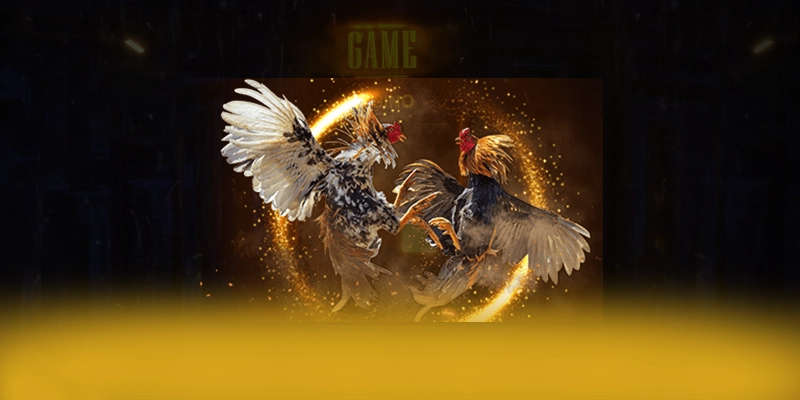 Đánh giá toàn diện 8XBET - Nhà cái trực tuyến chất lượng cao 2025 Đánh giá toàn diện 8XBET - Nhà cái trực tuyến chất lượng cao 2025
